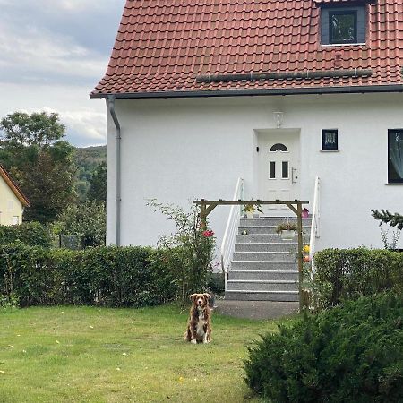 Ferienhaus Am Muehlgraben Thale Luaran gambar
