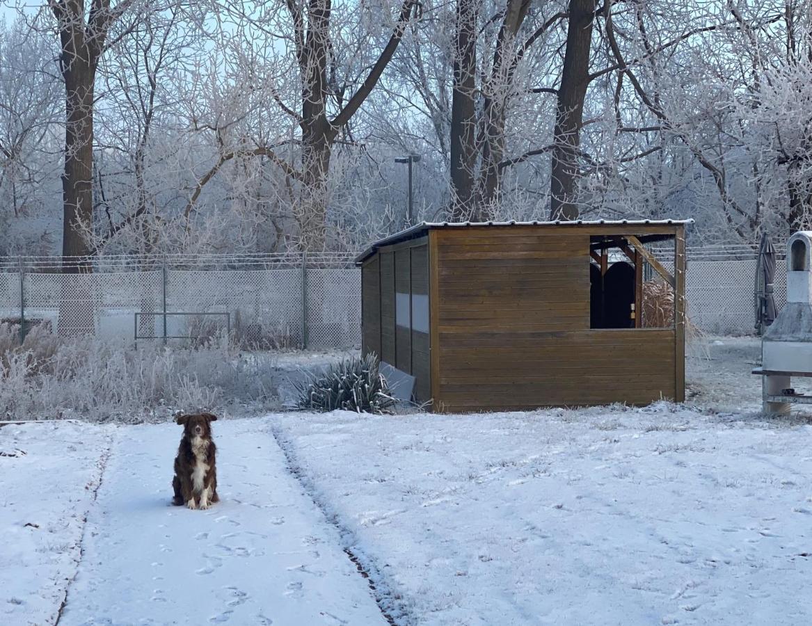 Ferienhaus Am Muehlgraben Thale Luaran gambar