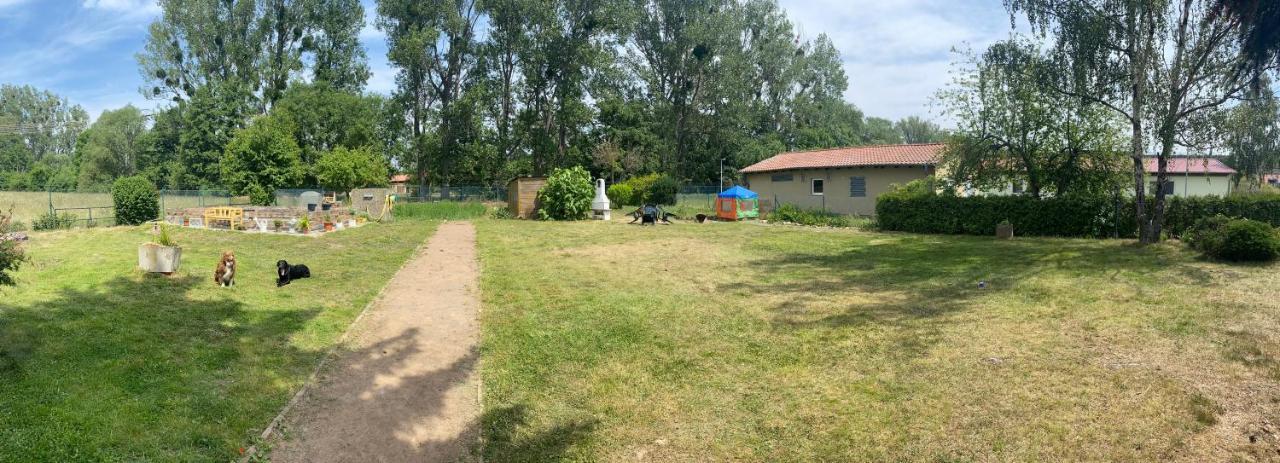 Ferienhaus Am Muehlgraben Thale Luaran gambar