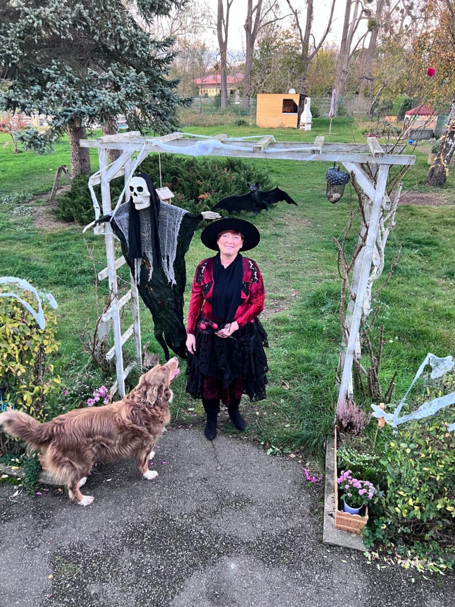Ferienhaus Am Muehlgraben Thale Luaran gambar