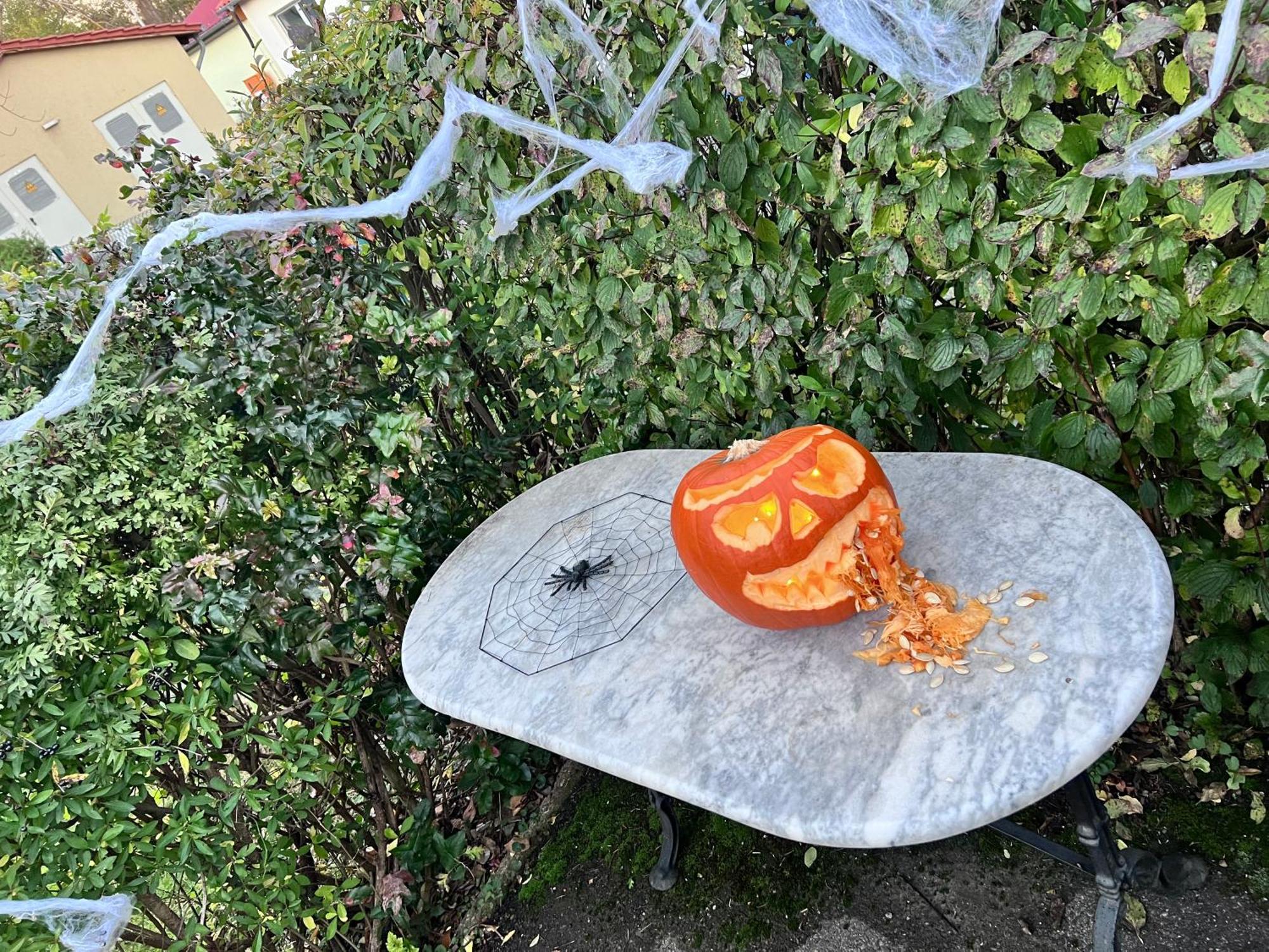 Ferienhaus Am Muehlgraben Thale Luaran gambar